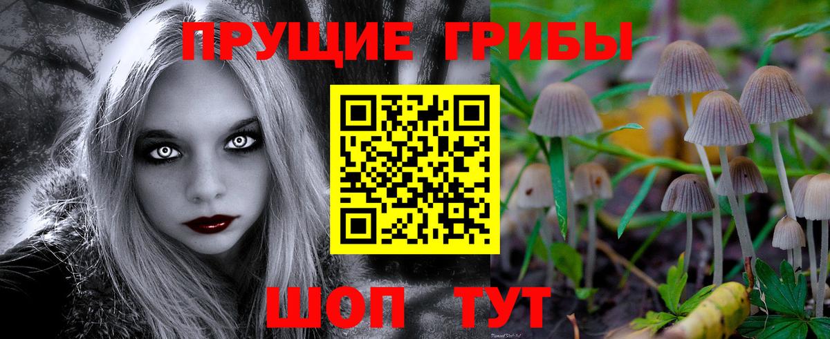 Грязи  хочу   Вход с VPN  Галлюциногенные грибы мухоморы 