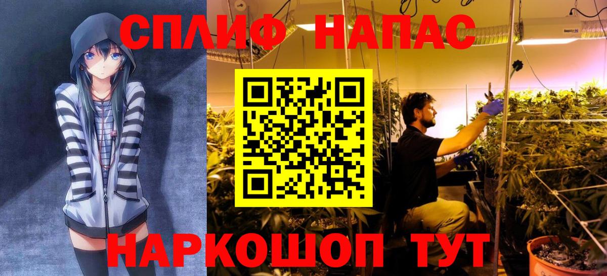 Конопля White Widow  Бошки Шишки конопля  Грязи  Вход с VPN 